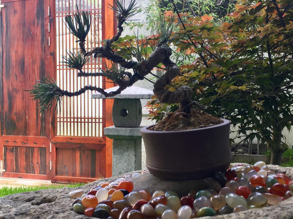 Bo Nan Homestay Dali  Exterior foto
